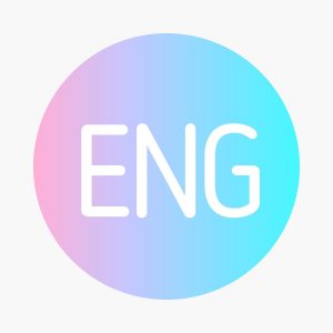 DSE English 英文